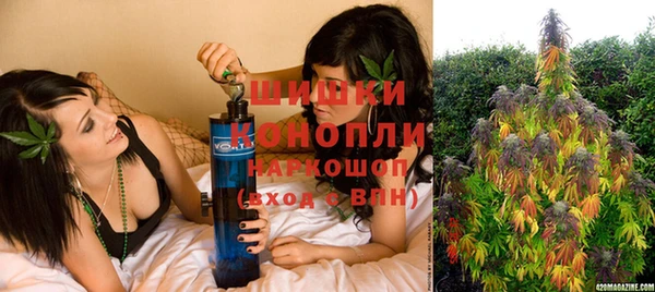 дмт Бронницы