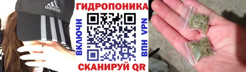 Конопля гибрид  купить наркоту  mega зеркало  Видное 